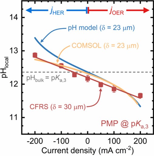 Marquez Mullins 2025 fig.jpeg